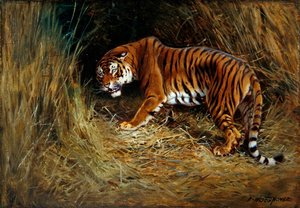 Prowling Tigris (olaj, vászon a fedélzeten)