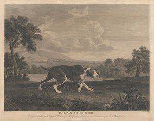 [Lövés] A spanyol mutató alkotó: William Woollett