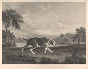 A spanyol mutató alkotó: William Woollett