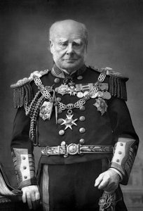 Sir Henry Keppel, a flotta admirálisa 1809-1904, 1893. alkotó: William and Daniel Downey