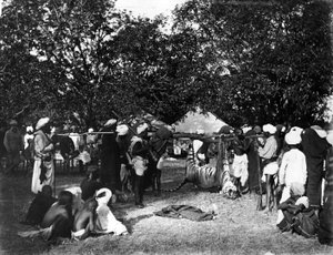 Tigrisvadászat Indiában, 1870 körül