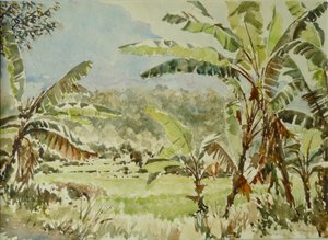 740 banánfa, Ramboda alkotó: Wilson Clive