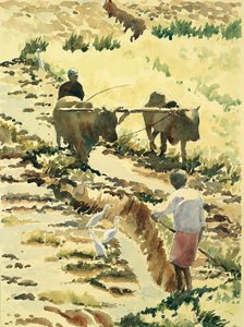 753 A rizsföld előkészítése alkotó: Wilson Clive