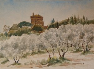 883 Pal Massaini, nr Pienza alkotó: Wilson Clive