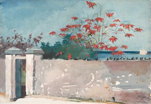 Egy fal, Nassau, 1898. alkotó: Winslow Homer