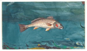  alkotó: Winslow Homer