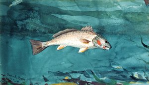 Csatorna basszusgitár alkotó: Winslow Homer