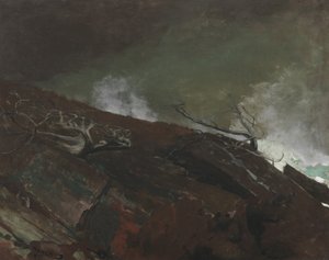 Maine tengerpartja, 1893 alkotó: Winslow Homer