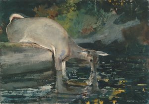 Szarvasivás alkotó: Winslow Homer