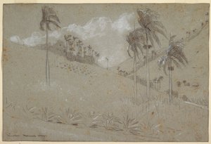 Rajz, kubai domboldal, 1885 alkotó: Winslow Homer