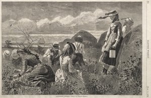 Bogyós gyümölcsök gyűjtése alkotó: Winslow Homer