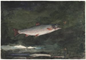 Ugráló pisztráng, 1889. alkotó: Winslow Homer