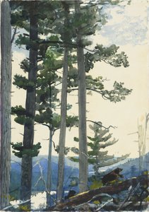 Régi telepesek alkotó: Winslow Homer