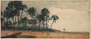  alkotó: Winslow Homer