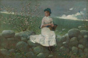 Őszibarack virágok alkotó: Winslow Homer