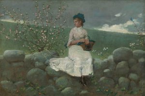 Barackvirágok, 1878. alkotó: Winslow Homer