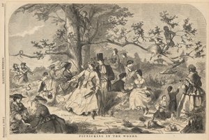 Picknicking in the Woods, Harpertől alkotó: Winslow Homer