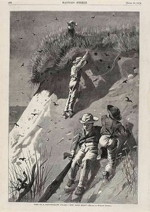 Rajtaütés egy homoki fecskekolónián - "Hány tojás" alkotó: Winslow Homer