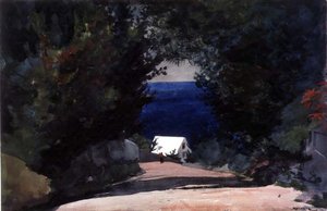Út Bermudán, 1899-1901 körül (akvarell ceruzával, papíron) alkotó: Winslow Homer