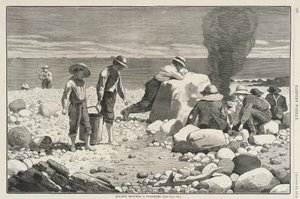  alkotó: Winslow Homer