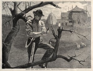Tavaszi mezőgazdasági munkák – Oltás alkotó: Winslow Homer