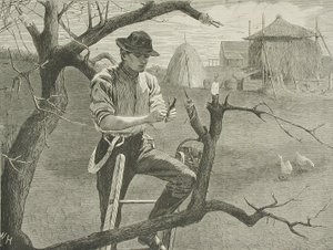  alkotó: Winslow Homer