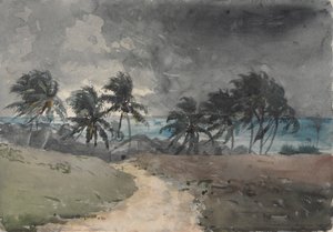 Vihar, Bahamák alkotó: Winslow Homer