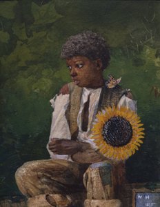 Sunflower-t elviszem a tanárhoz alkotó: Winslow Homer