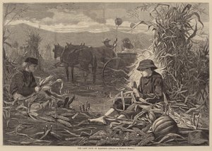 A szüret utolsó napjai, 1873-ban jelent meg. alkotó: Winslow Homer