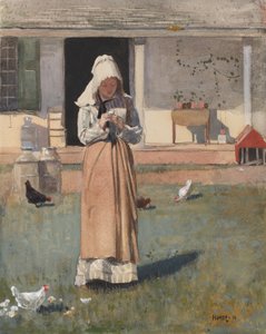 A beteg csirke, 1874 (wc, gouache és grafit szőtt papíron) alkotó: Winslow Homer
