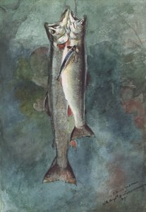 Két pisztráng, 1891 (wc papíron) alkotó: Winslow Homer