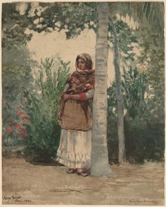 Pálmafa alatt alkotó: Winslow Homer