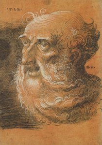 Head Study, 1522 (szén és fehér kréta papíron)