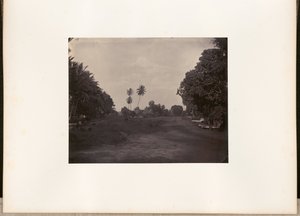 [Aszfaltozási munkálatok az úton Prapatan, Batavia] alkotó: Woodbury and Page