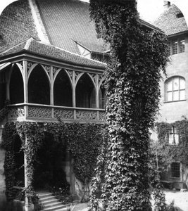 Hársfa az udvarban, Nürnberg, Bajorország, Németország, 1900-as évek. alkotó: Wurthle and Sons