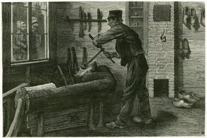 A terneuzeni szabotőr megalapította, megnagyobbítja és tömbök segítségével kiásja a fát. X.Mellery metszete a természet után a „Belgium” történet illusztrálására, 1888-ban, Camille Lemonnier (1844-1913), művészeti kritikus és író. Megjelent a To