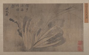 Káposzta és rovarok. alkotó: Xu Daoguang