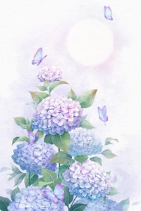 Holdfényes hortenzia-kert alkotó: Xuan Thai