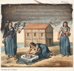 Araucano indiai nők kukoricát darálnak és fonnak, Chile alkotó: Frederick (attr. to) Barnard