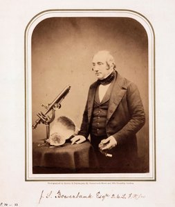 James Scott Bowerbank, brit geológus alkotó: Ferdinand Georg Waldmuller