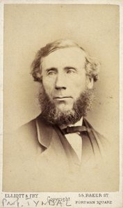 John Tyndall ír fizikus, 1875 alkotó: Frederick (attr. to) Barnard