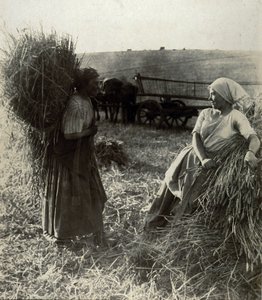 Aratógépek, 1900 körül alkotó: Frederick (attr. to) Barnard