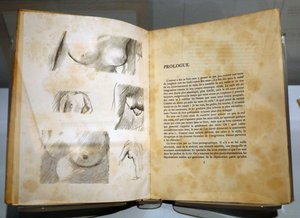 Impresszionizmusok Múzeuma, Giverny, Franciaország. Ramon Gomez de la Serna könyve Pierre Bonnard rajzaival. Mellők. alkotó: . .