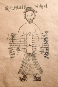 Hagyományos vietnami orvoslás múzeuma, csatornák és edények, az akupunktúra könyve, Ho Si Minh-város, Vietnam