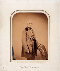 Samuel F B Morse amerikai művész és a Morse-kód feltalálója, 1870 körül alkotó: Frederick (attr. to) Barnard