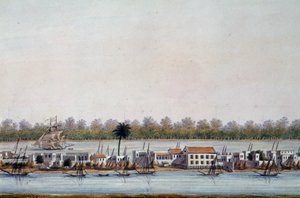 Kilátás St Louisra, Szenegálra alkotó: William Walcutt