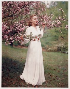 Ruhát modellező nő virágzás közelében, 1940-es évek alkotó: Frederick (attr. to) Barnard