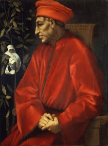 Idősebb Cosimo portréja