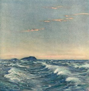 Fehér lovak