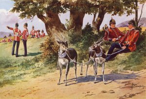 A Royal Warwickshire Ezred házi antilopjai